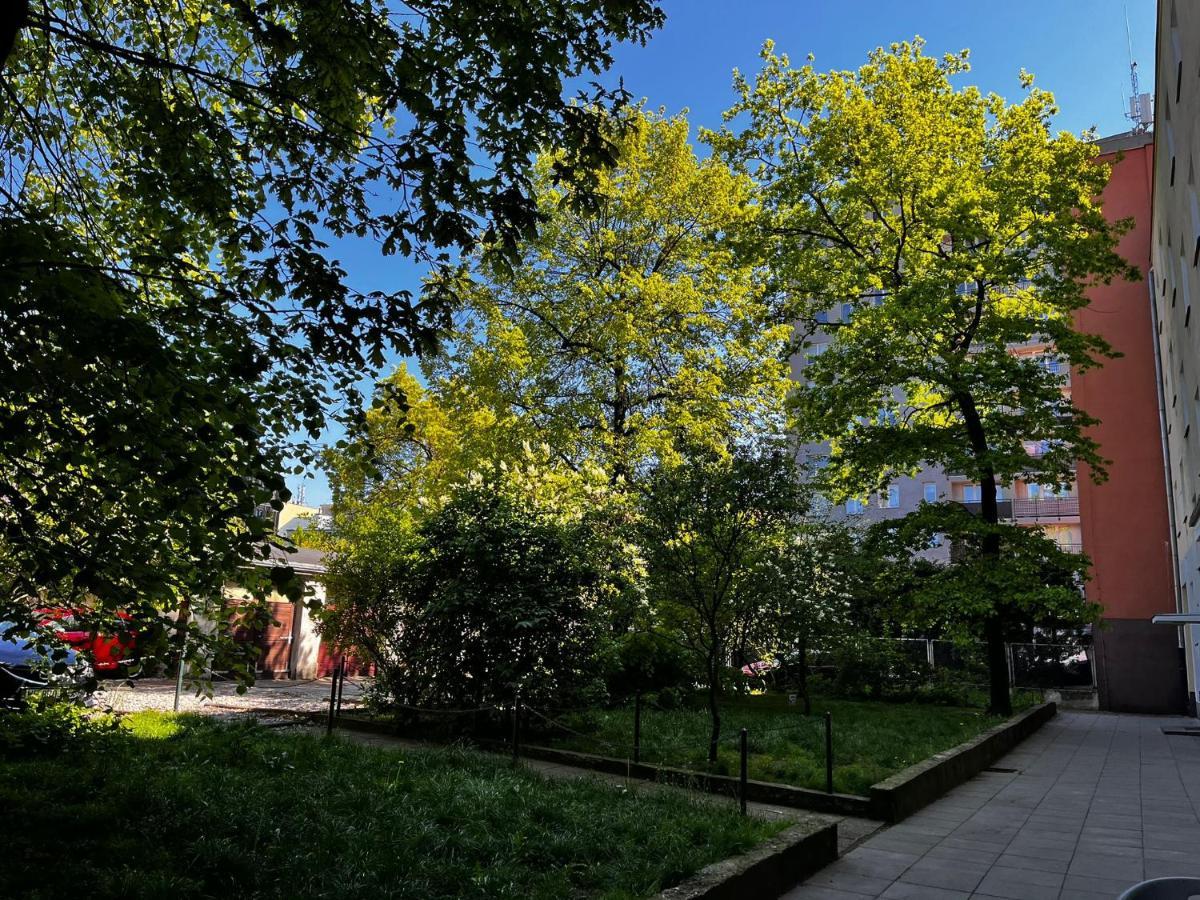 Studio Close To Royal Lazienki Park, Недалеко От Олинек ワルシャワ エクステリア 写真